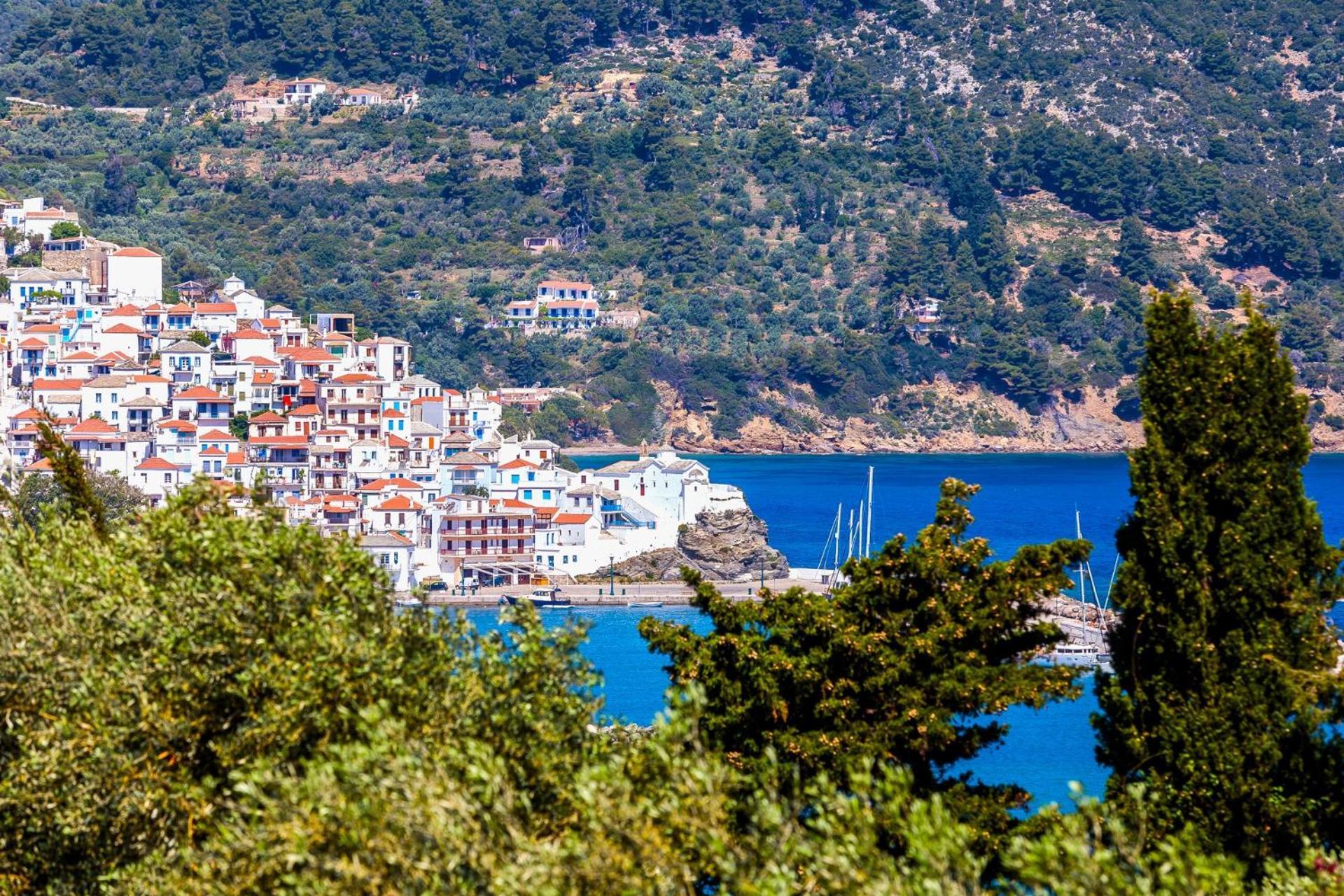 Naiades Superior Apartments In Skopelos With Sea View Close To The Town 외부 사진